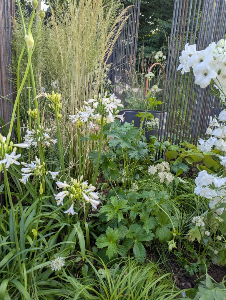 PXL_20250625_175932665