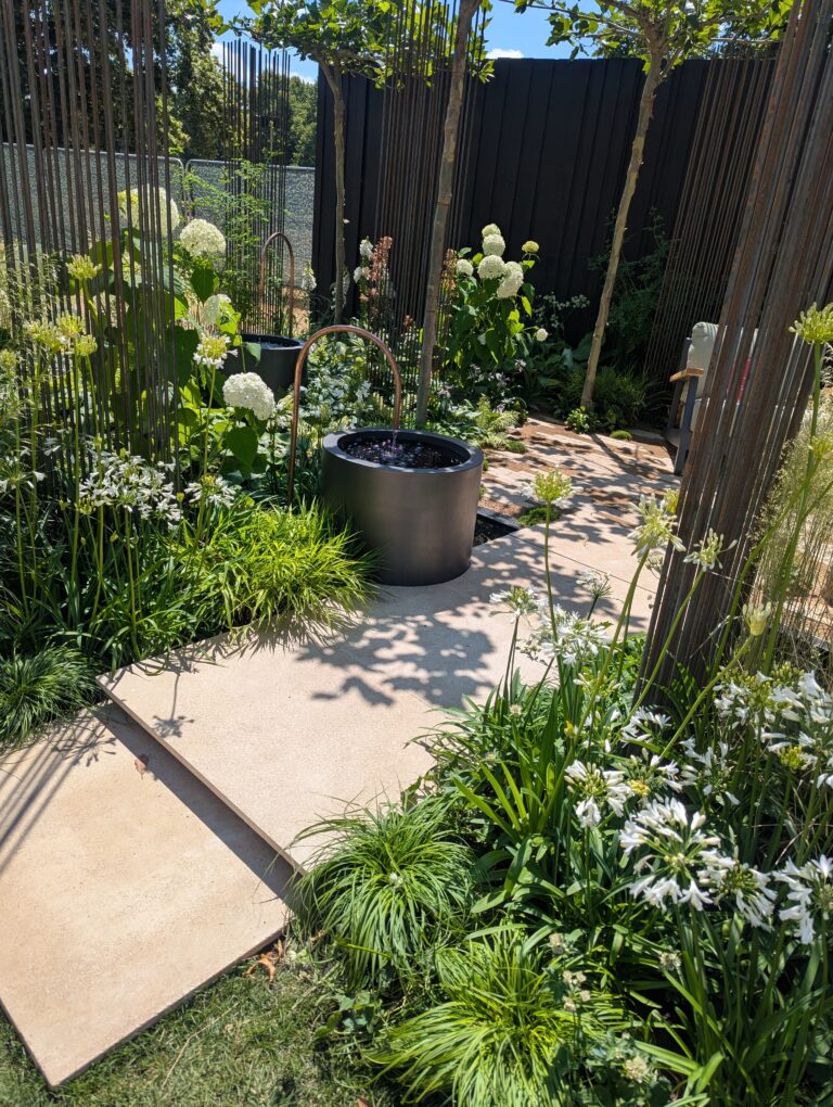 PXL_20250630_123001226.MP