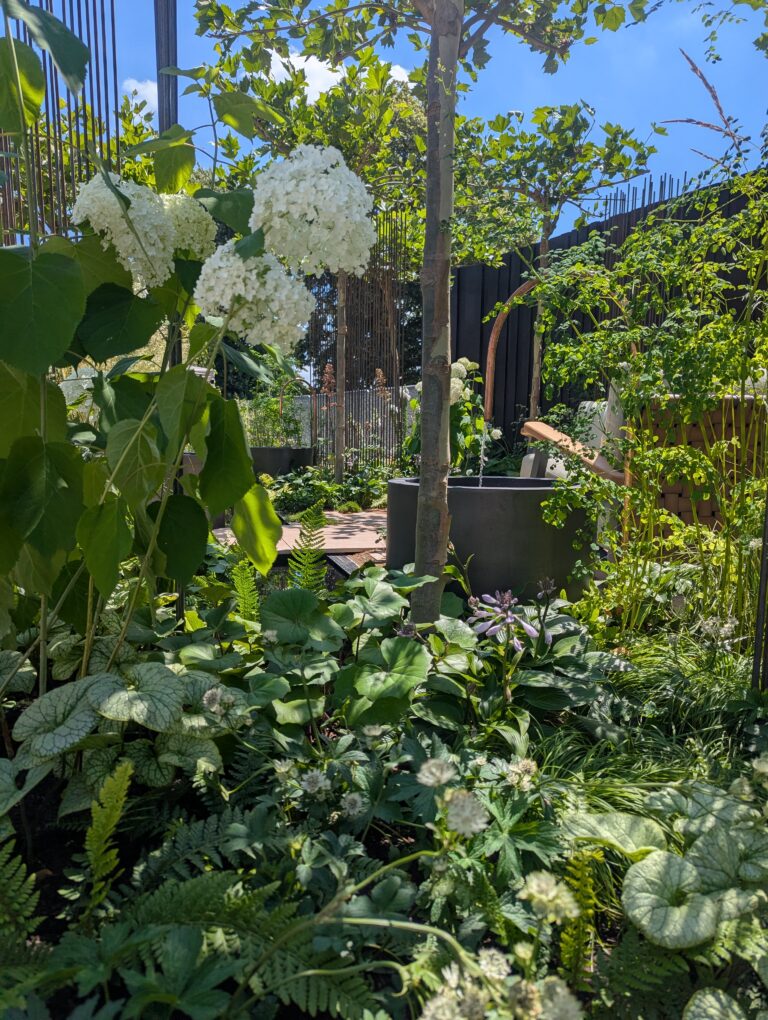 PXL_20250630_123918146