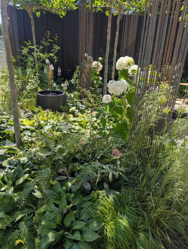 PXL_20250630_123949567.MP