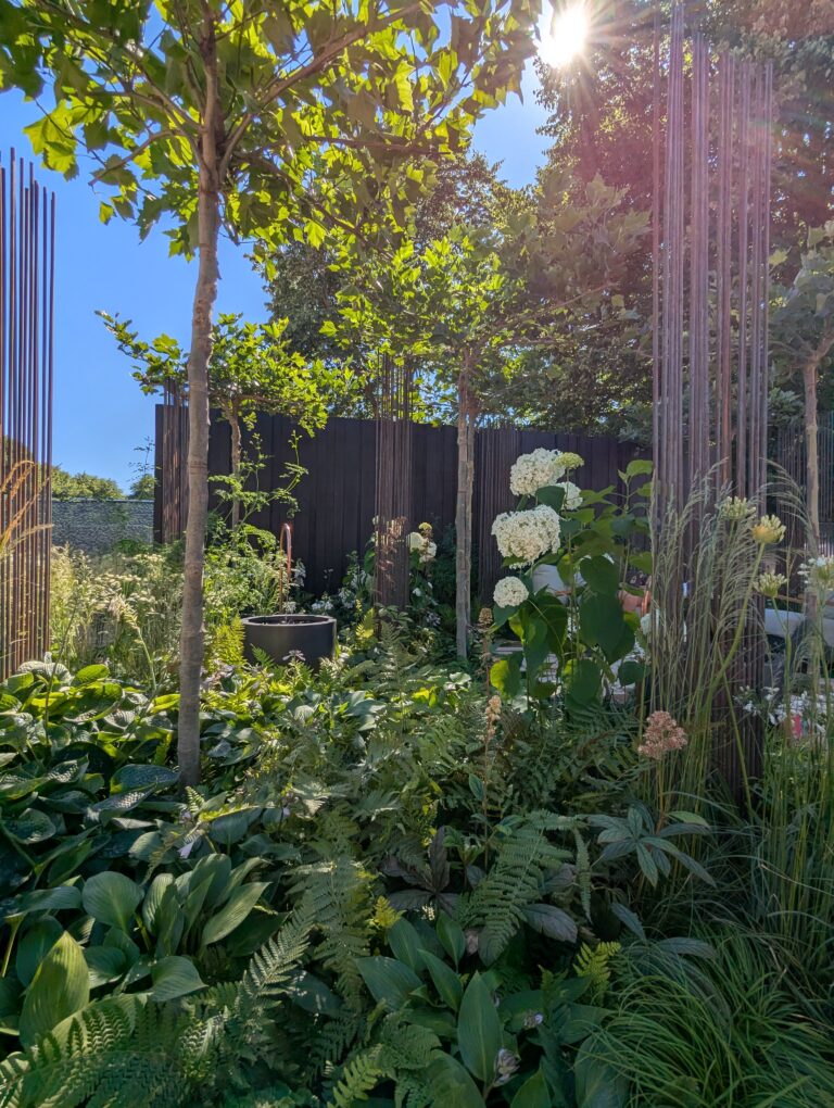 PXL_20250630_151334910.MP