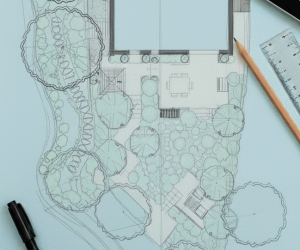 Gemini_Generated_Image_e2zw6ze2zw6ze2zw